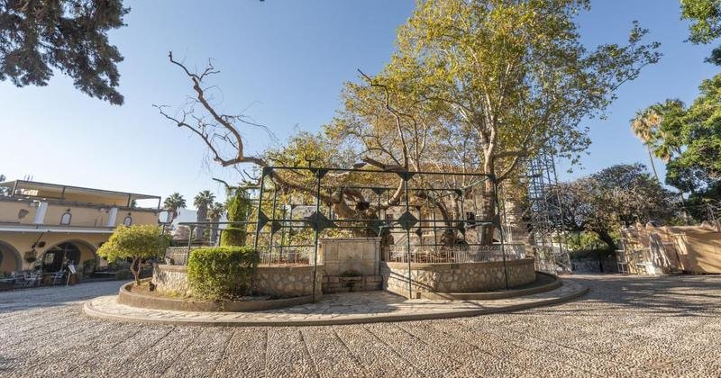 The Plane Tree of Hippocrates, Kos island